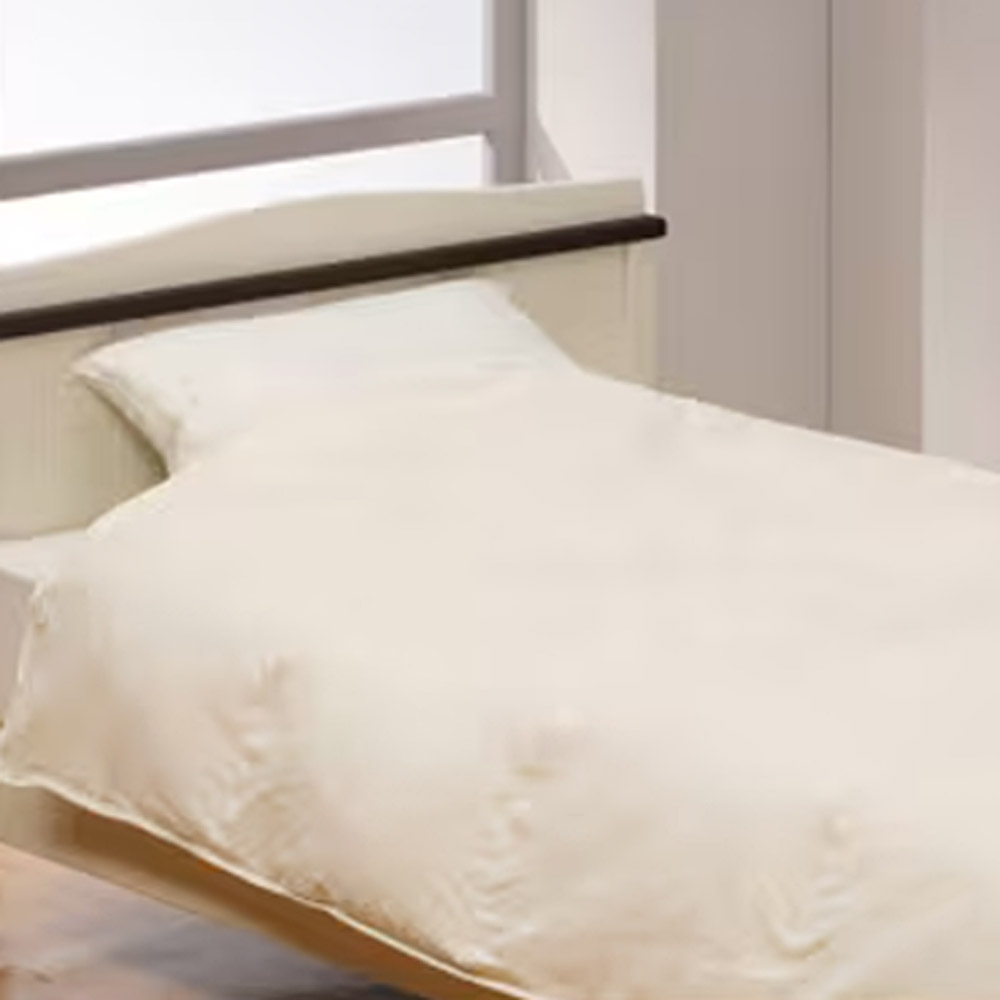 【ふるさと納税】シングル 羽毛肌掛けふとん (ダウン85%・充填量400g・アイボリー) 訳あり 洗える羽毛ふとん 羽毛布団 収納ケース付き / 布団 お布団 良質 薄手タイプ 肌掛け羽毛布団 ダウンケット インナーケット お昼寝用