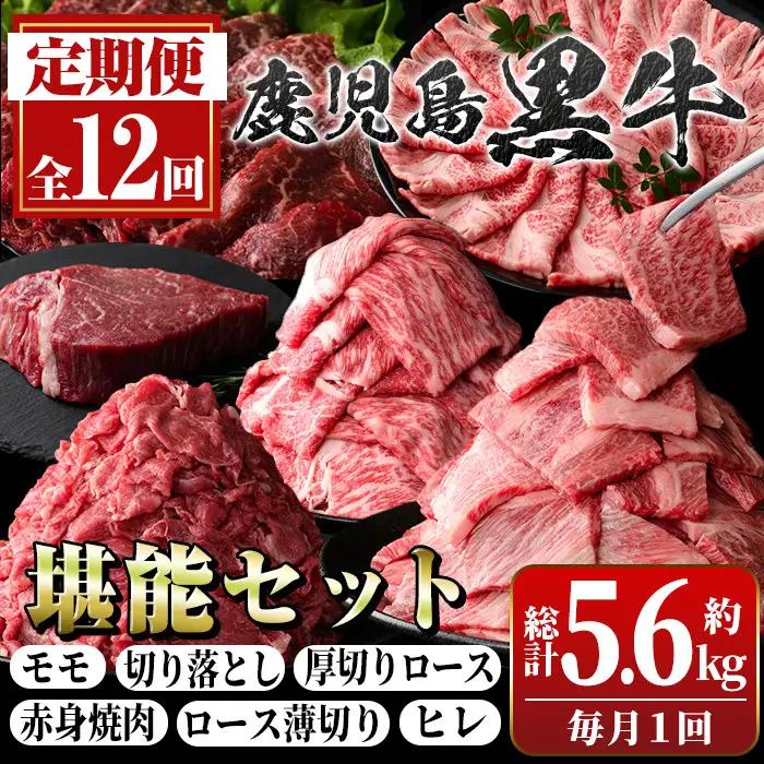 【12回定期便】鹿児島黒牛 堪能セット(全6種・合計5.6kg) 牛肉【新村畜産】G01004