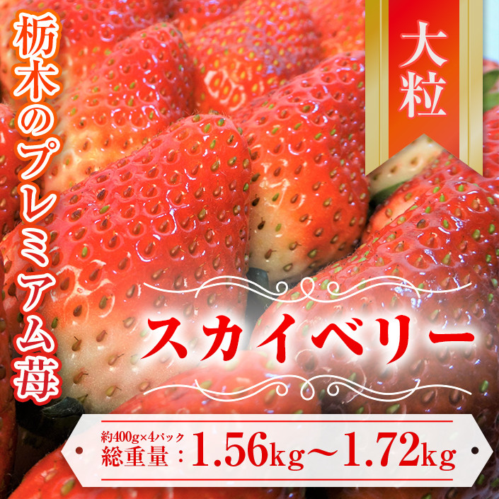 
            【先行予約】スカイベリー 約390g～430g×4パック | いちご 栃木 スカイベリー 大粒 大きい いちご 苺 イチゴ 栃木 果物 甘い 評判 鮮度 抜群 好評 人気 アレンジ アフター対応あり※離島への配送不可 ※2026年1月中旬～3月下旬頃に順次発送予定
          