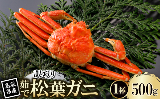【先行予約】鳥取県産 訳あり 茹 松葉がに 500g×1杯(中村商店)2026年1月末より順次発送【配送不可地域：離島・北海道・沖縄県・東北・信越、北陸】