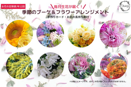 定期便 12回 ブーケ フラワーアレンジメント 手作りカード付き 花 生花 ※北海道・沖縄・東北の一部・離島への配送不可(大人気生花 人気生花 ギフト生花 贈答用生花 母の日生花 父の日生花 記念日生花 定期便生花 )