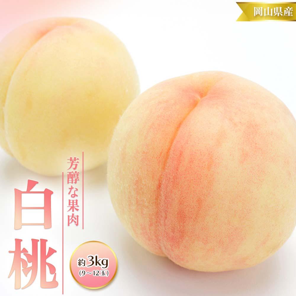 【ふるさと納税】桃 2026年 白桃 3kg 9～12玉 もも モモ 岡山 国産 フルーツ 果物 ギフト 桃茂実苑 | もも フルーツ 果物 くだもの 食品 人気 おすすめ 送料無料