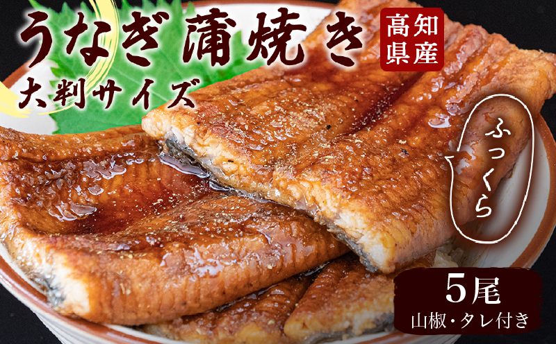 高知県産うなぎの蒲焼き 200g×5尾セット