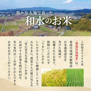 【定期便3回】こめ屋オリジナルブレンド 菊池川流域米 10kg | 熊本県 和水町 くまもと なごみまち なごみ 複数原料米 ブレンド米 菊池川 定期便 3回 定期