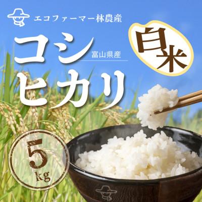 ふるさと納税 黒部市 令和7年産コシヒカリ一等米5kg 精米
