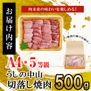 うしの中山 切り落とし焼肉用500g×1P 黒毛和牛 和牛 肉 牛肉 国産 九州産 鹿児島県産 焼肉 日本一 b0-202