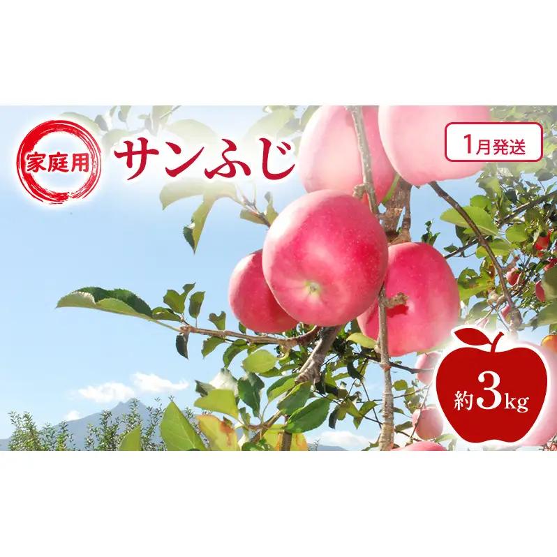 りんご サンふじ家庭用 青森県産 りんご【約3kg】【1月発送】