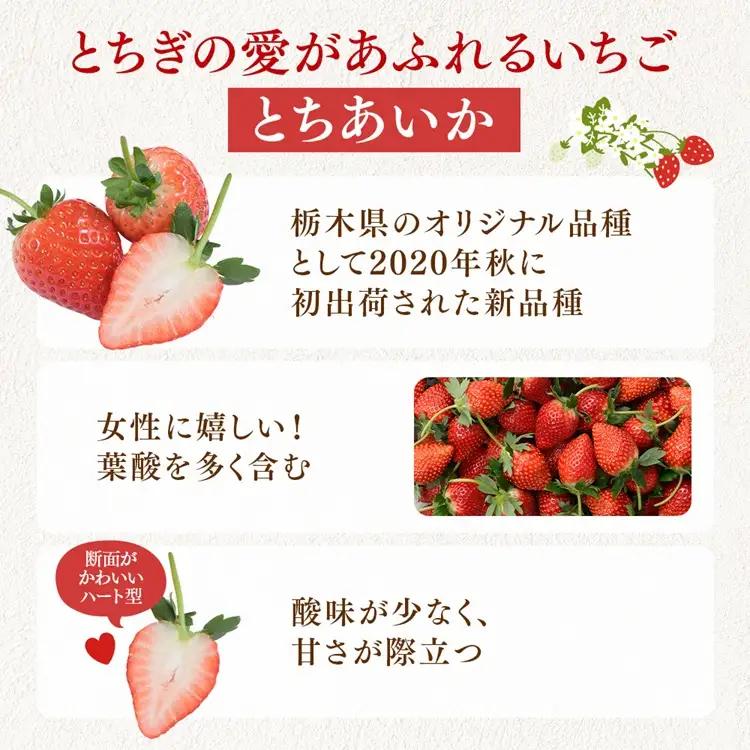 【先行予約】いちご 270g 4パック (2月発送) | いちご 苺 ※2027年2月～発送