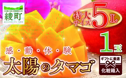 完熟マンゴー「太陽のタマゴ」５L×１玉【規格 基準 最大 濃厚 宮崎 高級 果物 フルーツ 贈答 ギフト 先行受付 送料無料】