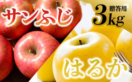 【先行予約】令和6年産 りんご サンふじ×はるか 贈答用 3kg（計8～10個） 岩手県 金ケ崎町産 12月上旬発送予定