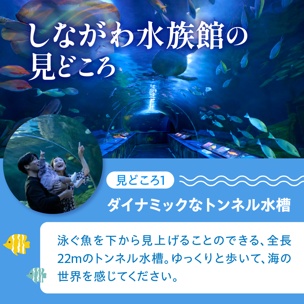 しながわ水族館ペア入館券
