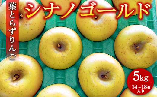 葉とらずりんご【シナノゴールド】5kg　14個～18個入り【9月30日受付終了】※2026年10月～発送