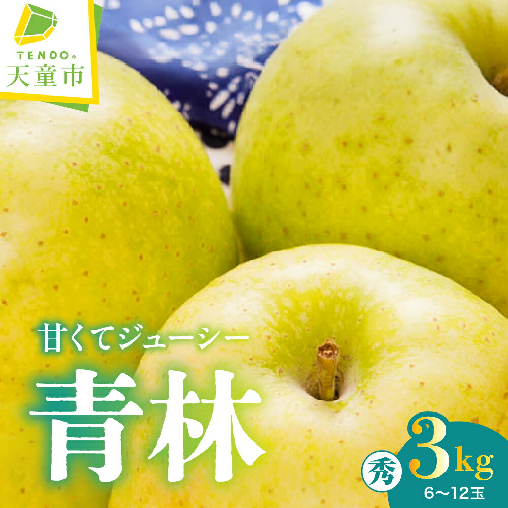 【ふるさと納税】りんご ( 青林 ) 令和8年産 先行予約 2026年 林檎 リンゴ 果物 くだもの フルーツ 山形 お取り寄せ 産地直送 送料無料 【 山形県 天童市 】