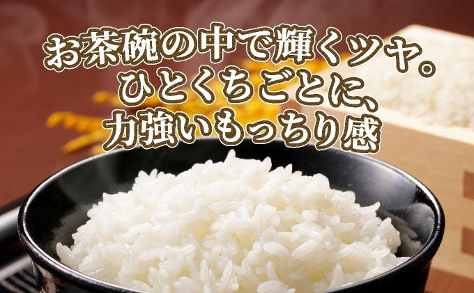 福岡県産元気つくし 白米10kg|福岡県産 元気つくし 白米 10kg 精米 米 国産 九州産 お米 ご飯 ふるさと納税 福岡県 那珂川市 10kg