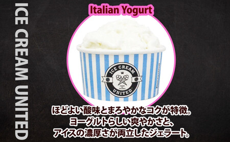 【 ICE CREAM UNITED 】イタリアンヨーグルト  100ml × 4個 ヨーグルト 濃厚 ジェラート 砂糖 アイス コク 濃厚 冷凍 冷凍庫 氷 イタリア デザート アイスクリームユナイ