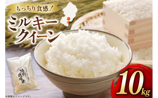米 令和7年度産 特別栽培米 ミルキークイーン 10kg [渡部ファーム 山形県 高畠町 tk06ays810025] お米 白米 精米 ごはん ご飯 ブランド米