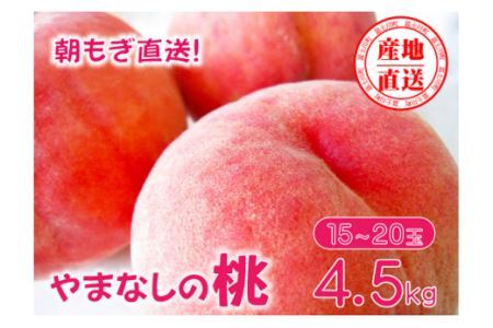 【2025年発送分】矢崎さん家のもも 15～20玉 （約4.5kg）桃 もも モモ ピーチ 山梨県産 フルーツ くだもの 果物 産地直送 夢桃香 加納岩白桃 白鳳 なつっこ 浅間白桃 川中島白桃 白桃 先行予約