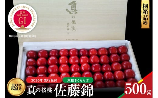 【2026年産　先行予約】真の桜桃 佐藤錦　桐箱詰め500g 山形県 東根市　hi062-051