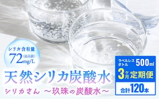 【定期便】天然シリカ炭酸水 　500ml × 40本 3回 【 シリカさん～玖珠の炭酸水～ 】 炭酸水 シリカ 水 シリカ天然水 常温保存 長期保存 天然 国産 天然水 炭酸水 スパークリングウォーター シリカ 軟水 健康 ミネラル 飲料水 備蓄 防災 健康 九州 採水 吸収率 高い 安全 含有量72mg 硬度43.1 備蓄 防災 含有量 吸収率 継続 効率 天然 シリカ成分
