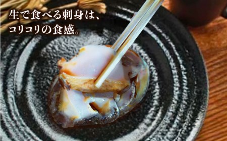 【到着日・受取時間指定必須】【配送エリア限定】【数量限定商品！】五島産養殖活きアワビ 1個あたり約100g前後 中サイズ3個 あわび 鮑 五島市/（有）都工業 [PEX001]