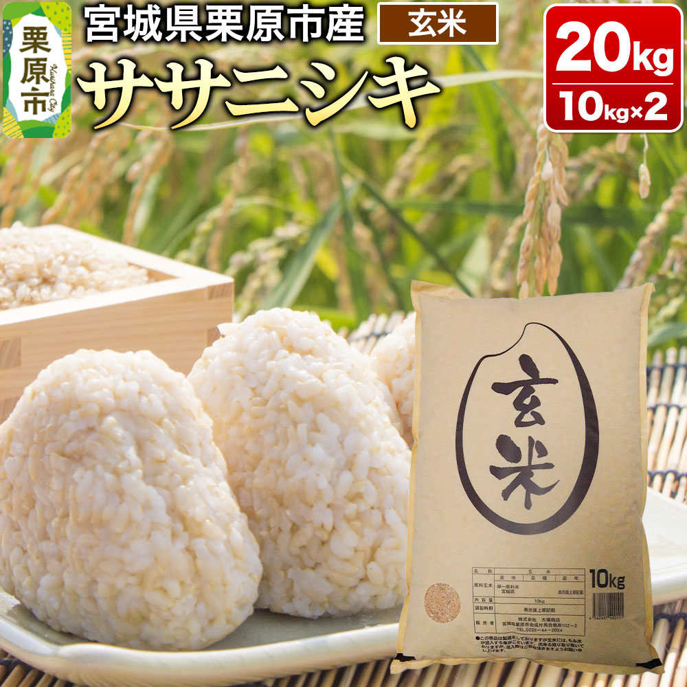 【ふるさと納税】【令和7年産・玄米】宮城県産 ササニシキ 20kg (10kg×2袋)