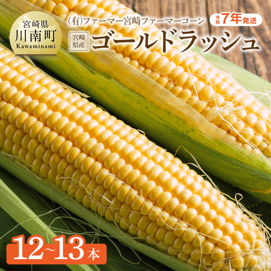 【令和7年発送】宮崎県産とうもろこし　ファーマー宮崎 ファーマーコーン「ゴールドラッシュ」12〜13本 2025年発送 トウモロコシ 先行予約 先行受付