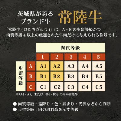 ふるさと納税 茨城町 常陸牛　牛すじ煮込み　250g×6個 |  | 01