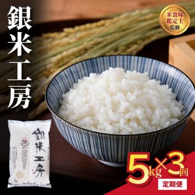 ふるさと納税 田村市 【毎月定期便】銀米工房 5kg 精米全3回