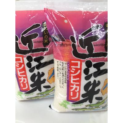 ふるさと納税 近江八幡市 【令和7年産】近江米こしひかり　精米　5kg×2袋 |  | 01