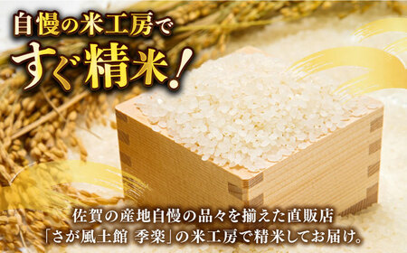 【佐賀県産米】令和5年産 無洗米 上場産こしひかり 計10kg（5kg×2袋） / お米 米 白米 コシヒカリ ふるさと納税米 / 佐賀県 / さが風土館季楽 [41AABE055]
