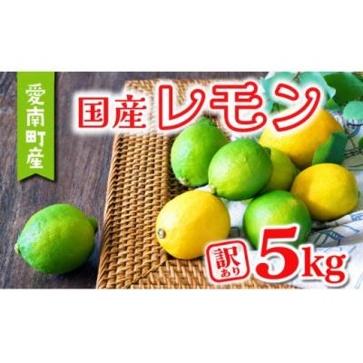 ふるさと納税 愛南町 【先行予約:2026年11月上旬〜発送】 訳あり レモン5kg あいなんマザーズ