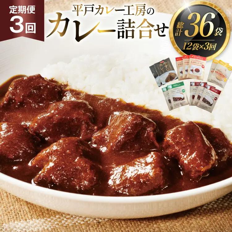 カレー セット カレー 5種 計12袋 セット 3回 定期便 [カレー工房NVfoods 長崎県 平戸市 hr42bgy400057]
