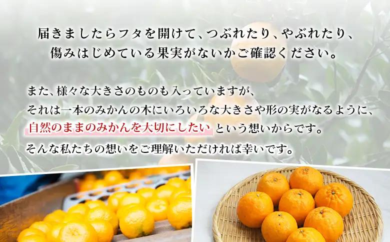 【先行予約】＜無茶々園のポンカン 約5kg＞ 果物 くだもの フルーツ ぽんかん みかん 蜜柑 柑橘類 かんきつ 旬 甘い 濃厚 新鮮 期間限定 季節限定 産地直送 特産品 愛媛県 西予市 【常温】『