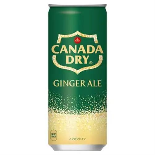 カナダドライジンジャーエール250ml缶×30本_飲料・ドリンク 炭酸飲料 ジュース _【1551264】