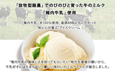 【 業務用 】 稚内牛乳 アイスクリーム 2L×2個 ( バニラ ＆ 宗谷の塩 ) と珍味ホッケ燻製【配送不可地域：離島・沖縄県】