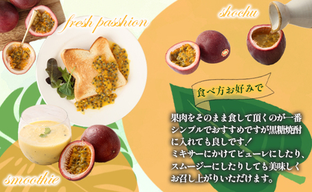  【2026年発送】先行受付 徳之島 天城町 吉川果樹園 パッションフルーツ 家庭用 4kg トロピカルフルーツ フルーツ パッション 自宅用 AB-32-N