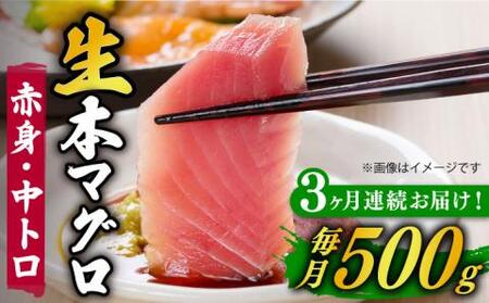 【全3回定期便】【ながさき水産業大賞受賞の新鮮なマグロを冷蔵でお届け！！】五島列島産 養殖 生本かみマグロ 赤身 中トロ 計約500g 【カミティバリュー】[RBP029]