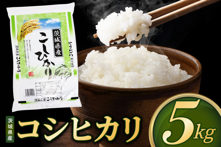 米 コシヒカリ 精米 5kg 先行予約 令和8年産 茨城県産 お米 こめ コメ ごはん 白米 こしひかり 茨城県産米 単一米 単一原料米 安心 安全 送料無料 国産 人気 数量限定 高評価（85-R8i025）