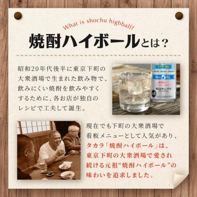 ふるさと納税 京都市 【タカラ】焼酎ハイボール「キレの5%」 サイダー割り  500ml×24本 | チューハイ お酒 |  | 01