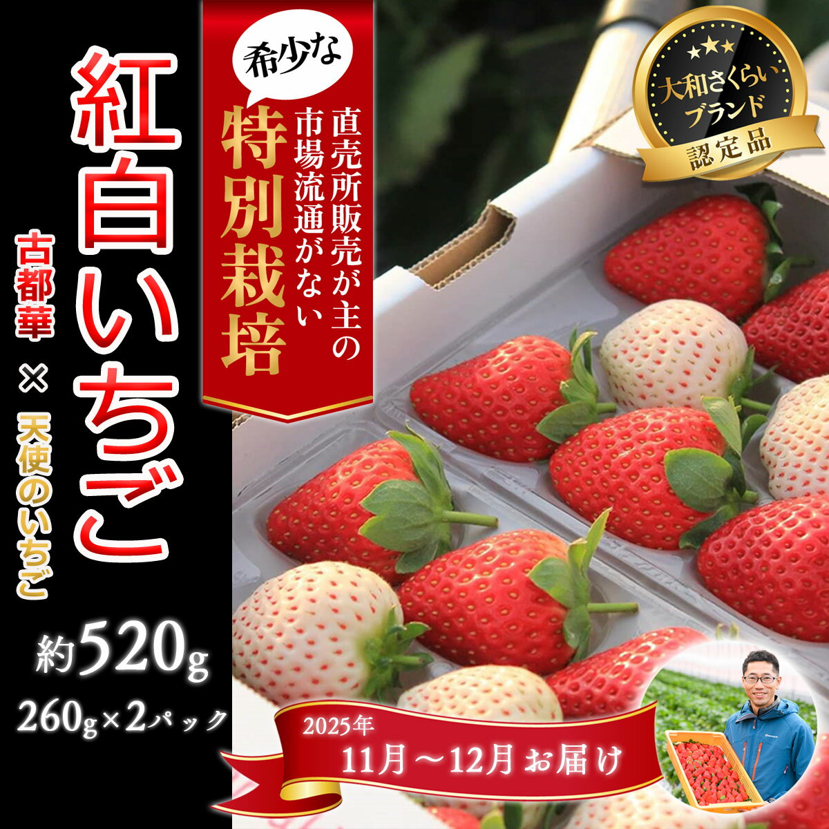 【ふるさと納税】＜11月～12月発送＞紅白いちご「古都華＆白いちご」2パック 特別栽培農産物／奈良県 苺 先行予約 ジャム 減農薬 食べ比べ Odamaki農園 M-BG10
