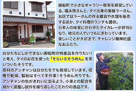 そらいろそうめん薄色3個 福永幸山堂