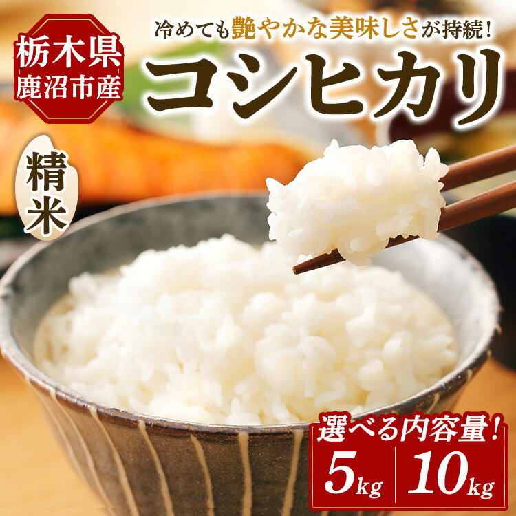 【ふるさと納税】【選べる内容量】令和7年度産 コシヒカリ 精米 5kg 10kg | 白米 お米 米 こしひかり 農家直送 栃木県 鹿沼市 ※北海道・沖縄・離島への配送不可