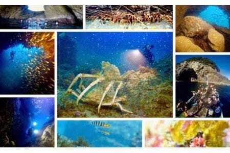 徳島・日和佐NAUIスクーバダイバー認定コース（資格取得コース）3日間講習