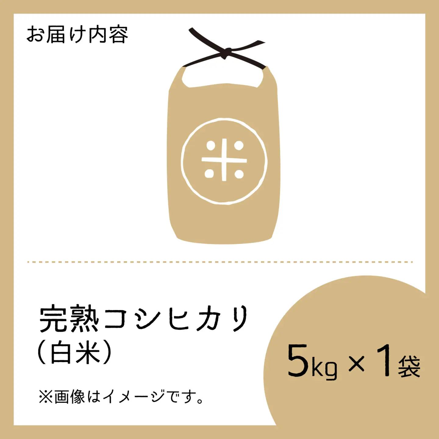 【先行予約】【令和8年産 新米】くらもち完熟米 コシヒカリ 5kg 白米