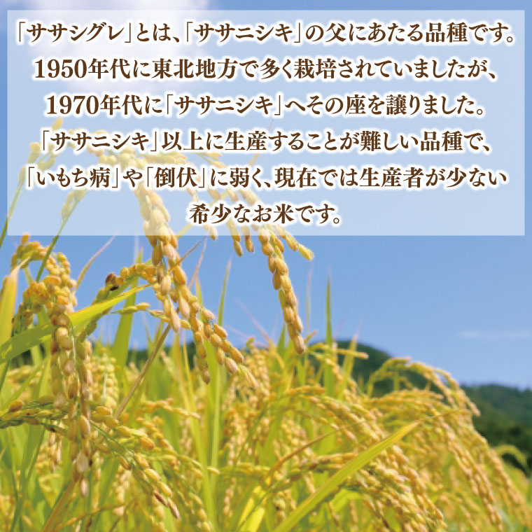 ★令和7年産★ ささしぐれ 10kg (精米5kg・玄米5kg) (DE009)