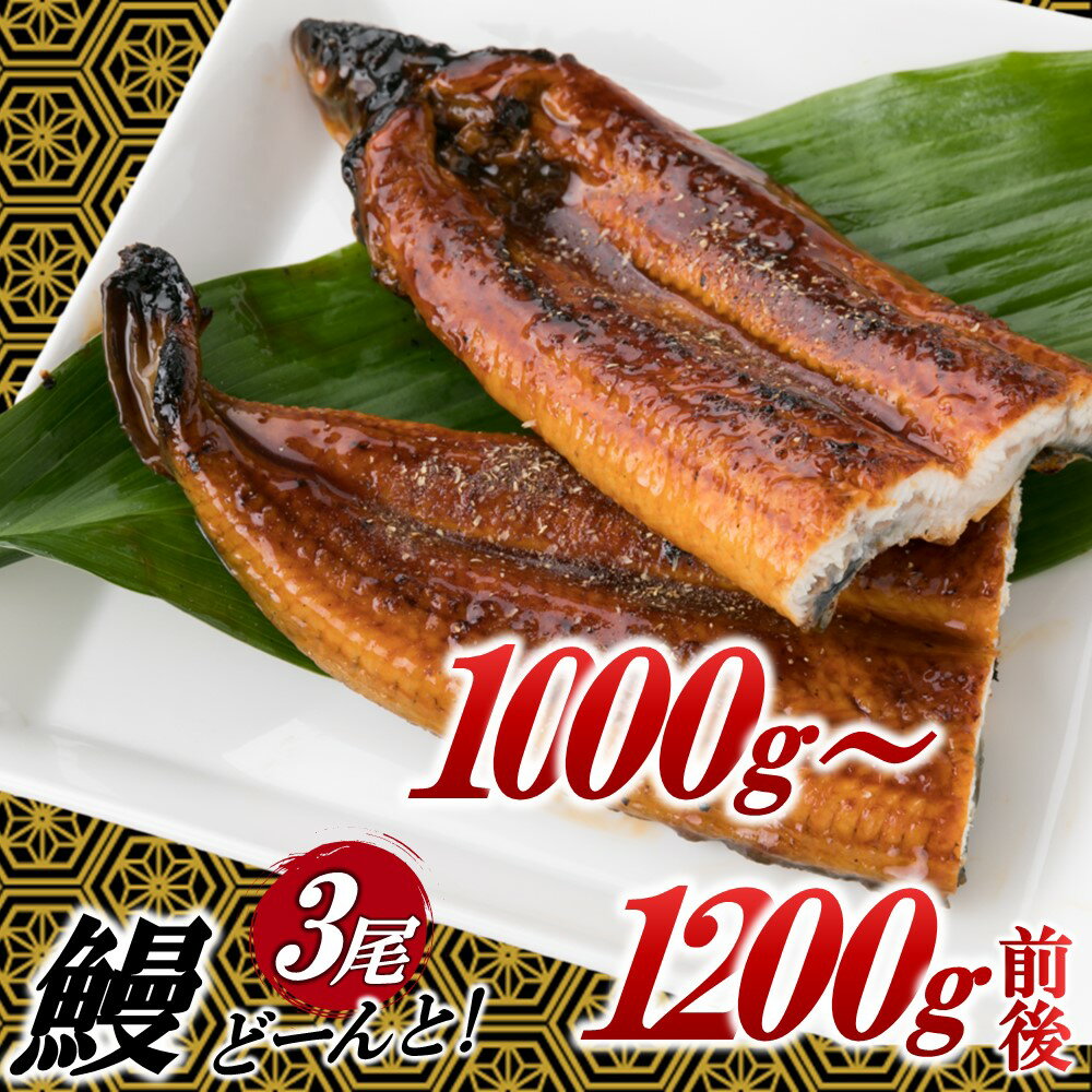 うなぎの蒲焼3尾（計1,000g前後）1～2ヶ月前後でお届け