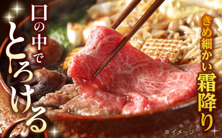 【全6回定期便】 リブロース サーロイン 500g 希少部位 長崎和牛 A4?A5ランク【肉のふじた】 [AG12] リブロース サーロイン 肉 牛肉 しゃぶしゃぶ すき焼き 定期便