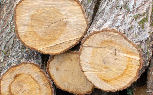 薪 雲南市 里山の薪(30cm) 20kg まき 薪 焚火 暖炉 キャンプ アウトドア まき マキ 焚き火 たき火 焚火 30�p薪 20kg薪 薪ストーブ ストーブ キャンプ薪 アウトドア薪 ソロキ