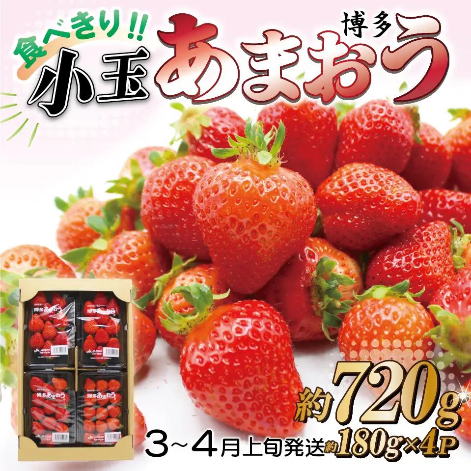 【先行予約／2027年出荷】JAむなかた直送！食べきりサイズ「博多あまおう」約180g×4パック 2J10