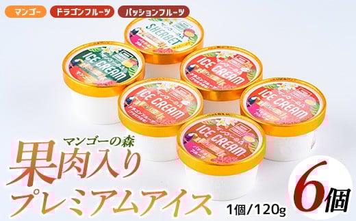 
ゴロゴロ果肉入りプレミアムアイス6個セット(マンゴーの森/013-1212)
